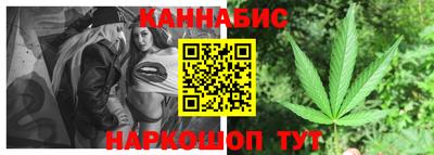 прущие грибы Краснознаменск