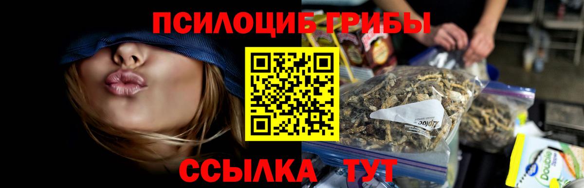 Псилоцибиновые грибы ЛСД Елабуга